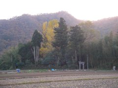 Ȃ